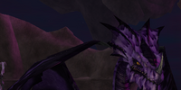 A young dragon
