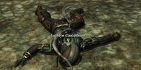 Lachlyn Cauldthorn (The Down Below)