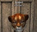 Kizmit