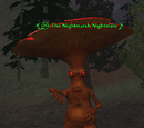 The Nightmarsh Nightmare