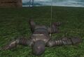 Guard Chaffey.jpg