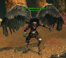 A Strifewing fanatic
