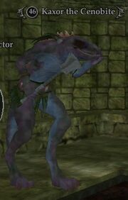 Kaxor the Cenobite