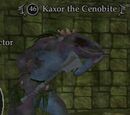 Kaxor the Cenobite