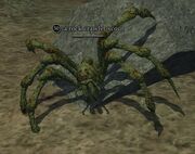 A rock crawler scout