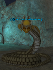 An Aravu watchmistress