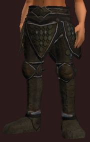 Pauldrons of the Circling Destiny (Equipped)