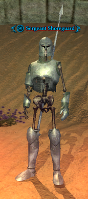 Sergeant Shoreguard