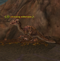 A brooding withertalon.png