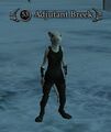 Thumbnail for version as of 04:41, February 9, 2008