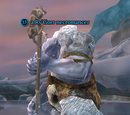 A Ry'Gorr necromancer