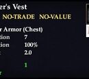 Bruiser's Vest