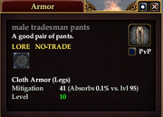 Male tradesman pants