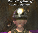 Zastik Togginscog