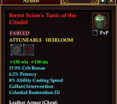 Forest Scion's Tunic of the Citadel