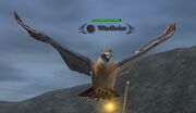Windfeather