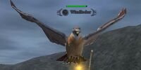 Windfeather