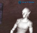Hval D'Morte