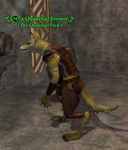 A Quaketail brewer