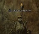 A Shin'Ree spiritist