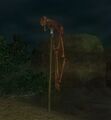 An impaled skeleton.jpg