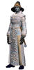 Concordium ceremonial officer robe (male)