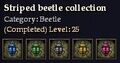 CQ beetle striped Journal.jpg