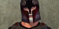 Guard Donidas