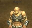 A Tallon grunt