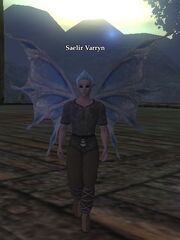 Saelir Varryn