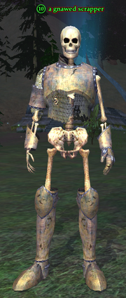 A gnawed scrapper