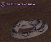 Albino cave snake