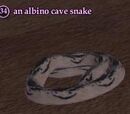 An albino cave snake