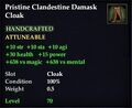 Pristine Clandestine Damask Cloak.jpg