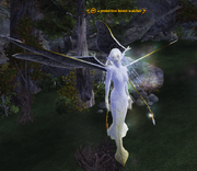 A protective forest watcher