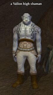 A Vallon high shaman