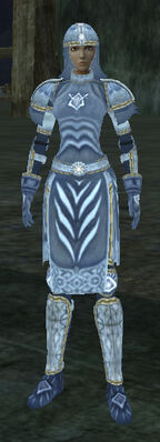 T9 Leather Healer - Easy (Armor Set) (Visible, Female)