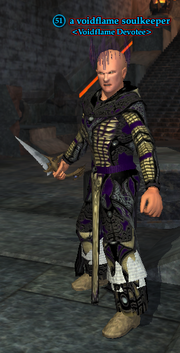 A voidflame soulkeeper