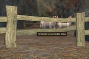 A hastily contructed wooden fence