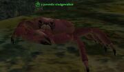 A juvenile sludgewalker