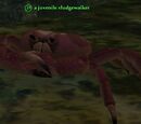 A juvenile sludgewalker