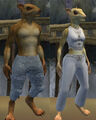 Race ratonga.jpg