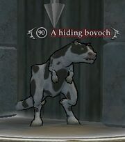 A hiding bovoch