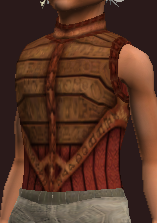 Sacrosanct Tunic of the Stormbringer (Equipped)