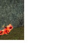 Fiery Magician III