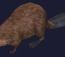 A torrent beaver
