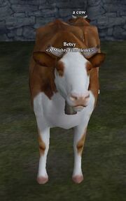 Betsy