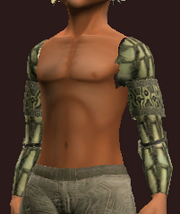 Naturewalker's Shoulder Pads of the Forestspeaker (Equipped)