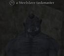 A Steelslave taskmaster