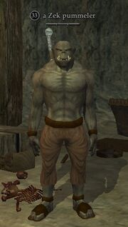 A Zek pummeler